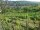 Webcam in Feuerbach, 4 mi away
