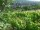 Webcam in Feuerbach, 5.1 km