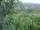 Webcam in Feuerbach, 2.3 mi away