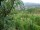 Webcam in Feuerbach, 4.5 mi away