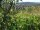Webcam in Feuerbach, 7.1 mi away