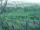 Webcam in Feuerbach, 4.8 mi away