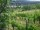 Webcam in Feuerbach, 18.6 km entfernt