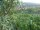 Webcam in Feuerbach, 3.7 mi away