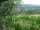 Webcam in Feuerbach, 4 mi away