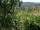 Webcam in Feuerbach, 7.1 mi away