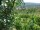 Webcam in Feuerbach, 7.5 mi away