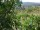 Webcam in Feuerbach, 22 km