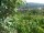 Webcam in Feuerbach, 22 km