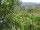 Webcam in Feuerbach, 15.3 mi away