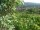 Webcam in Feuerbach, 22 km