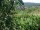 Webcam in Feuerbach, 9.6 mi away