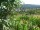 Webcam in Feuerbach, 7.5 mi away