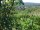 Webcam in Feuerbach, 8.9 km