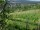 Webcam in Feuerbach, 9.4 km