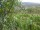 Webcam in Feuerbach, 4.4 mi away