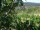 Webcam in Feuerbach, 26.6 km