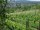Webcam in Feuerbach, 8.5 mi away