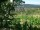 Webcam in Feuerbach, 3.7 mi away