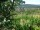 Webcam in Feuerbach, 9.6 km