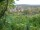 Webcam in Feuerbach, 5.5 mi away