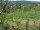 Webcam in Feuerbach, 11.4 km