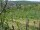 Webcam in Feuerbach, 14.5 km