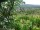 Webcam in Feuerbach, 3.7 mi away