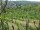 Webcam in Feuerbach, 18.6 km