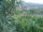 Webcam in Feuerbach, 8.5 mi away