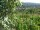 Webcam in Feuerbach, 18.6 km entfernt