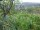 Webcam in Feuerbach, 2.8 km