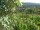 Webcam in Feuerbach, 7.1 mi away