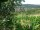 Webcam in Feuerbach, 5 km entfernt