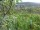 Webcam in Feuerbach, 22 km