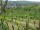 Webcam in Feuerbach, 3 mi away