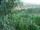 Webcam in Feuerbach, 22 km