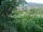 Webcam in Feuerbach, 3.7 mi away