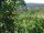 Webcam in Feuerbach, 15.7 km