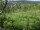 Webcam in Feuerbach, 6.2 mi away