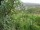 Webcam in Feuerbach, 17.3 km