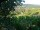 Webcam in Feuerbach, 5.6 mi away