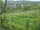 Webcam in Feuerbach, 4 mi away