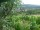Webcam in Feuerbach, 2 mi away