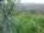 Webcam in Feuerbach, 7.1 mi away