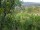 Webcam in Feuerbach, 5.6 mi away