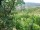 Webcam in Feuerbach, 5 km entfernt