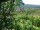 Webcam in Feuerbach, 2.8 km entfernt