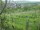 Webcam in Feuerbach, 2.8 km