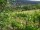 Webcam in Feuerbach, 9.6 mi away